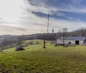 ©Fabien_Chere_-_Sparadrap53