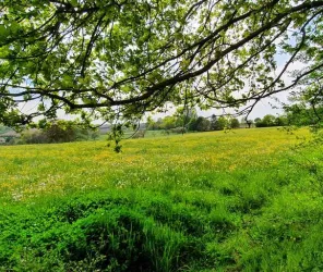 © AS OT Le Mans Métropole