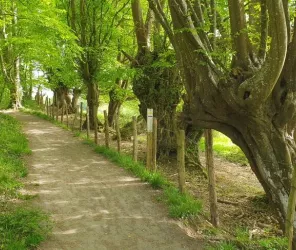 © AS OT Le Mans Métropole