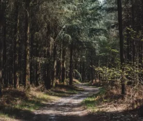 Destination Coco - OT4CPS