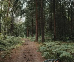 Destination Coco - OT4CPS