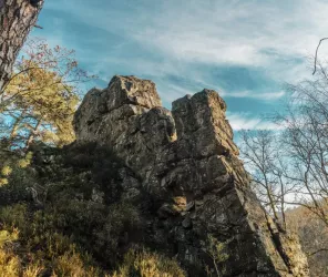 Destination Coco - OT4CPS