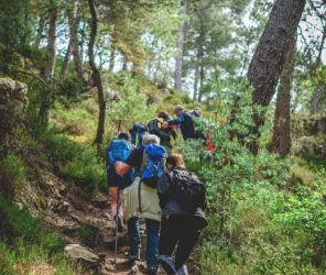 Destination Coco - OT4CPS