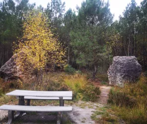 CDC Orée de Bercé-Belinois