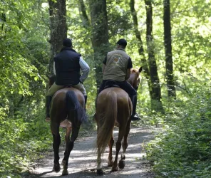 Pascal Baudry pour Sud Vendée Tourisme