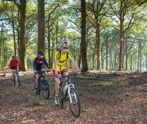 Mehdi Média / OTPFV