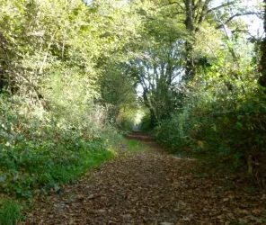 Mairie de Saint-Michel-le-Cloucq