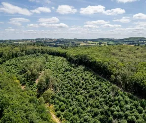 ©ThibaultMelin-PaysdesHerbiers