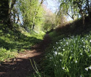 ©Claire-bodin_OTlesherbiers