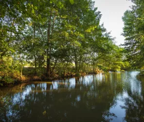 L'ours en plus pour CCSVL