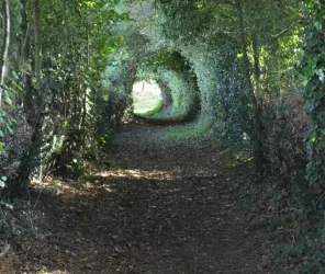 © Office de Tourisme du Pays de la Châtaigneraie