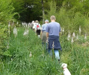 © Mairie de Marillet