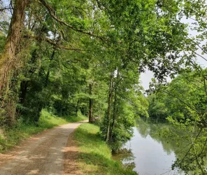 Office de Tourisme Fontenay-Vendée