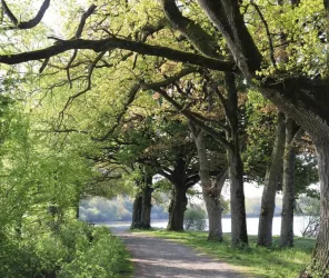 ©ClaireBodin-OTPaysdesHerbiers