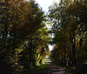 Mairie de Ste Anne sur Brivet