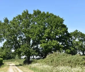 Saint-Nazaire Agglomération Tourisme / Matthias Arteaga