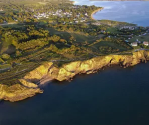 GRAYFIK STUDIO - Matéo SAUVAGET