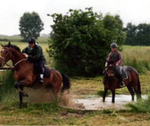 Centre équestre La Coquelinière