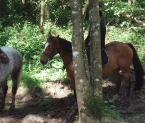 ©Pierre-Olivier-Douesnard