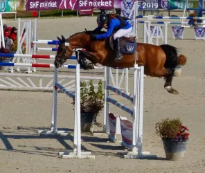 Les Écuries de Manaurer