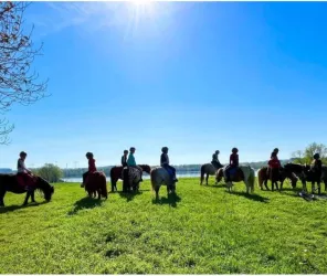 Alexandra Desrousseaux