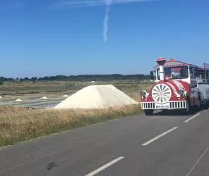 Le Petit Train des Marais Salants