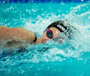 Fiedkiewicz de Pixabay