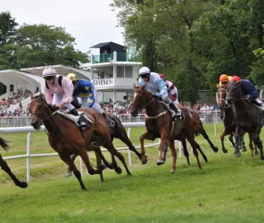Société de Courses hippiques