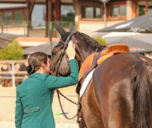 ©Centre-equestre-Pied-Bercy