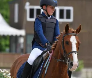 Poney club Moulin des Grées