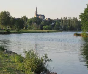 (c) Teillé animation