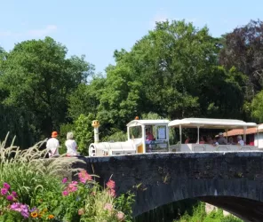 Petit Train Touristique Clisson