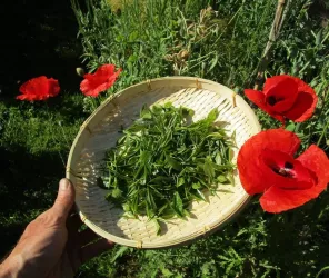 ©Ferme Les Landes Vivantes