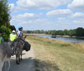 Association Mediliane