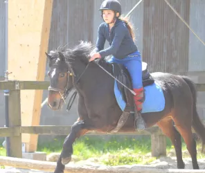 Écuries la Montglonnière