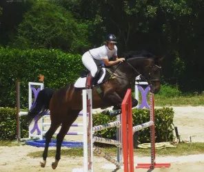 ©Centre équestre de Segré