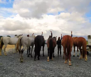 © Centre Equestre Coteaux du Jeu