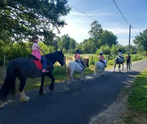 chevaux de la rosière