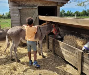 credit photo - camping La Guyonnière