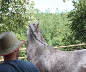 Schelstraete Christophe