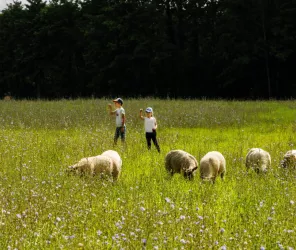 ©Villette_en_Direct-CP-Pascal_BELTRAMI_-_Mayenne_Tourisme