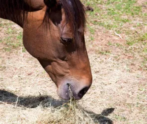 ©Vallée-de-la-sarthe