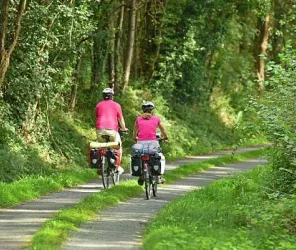 JOEL DAMASE POUR SARTHE DVT