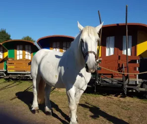 LES ROULOTTES DU SUD VENDÉE
