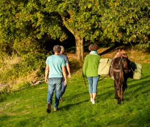 Phoniclips.tv-Clément Louineau