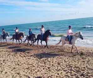 OT Pays de Saint Jean de Monts