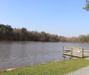 ©Claire_bodin_OTlesherbiers