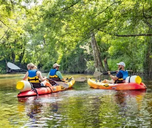 ©simonbourcier.com - Vendee Expansion