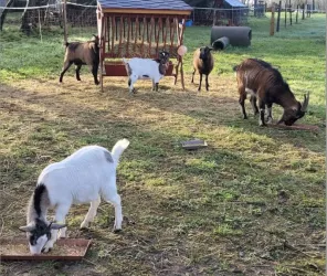 Au Coeur de chez Vous