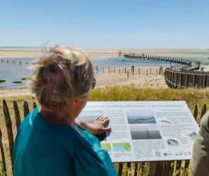 S.Bourcier/Vendée Expansion/Vendée du Sud Attractivité